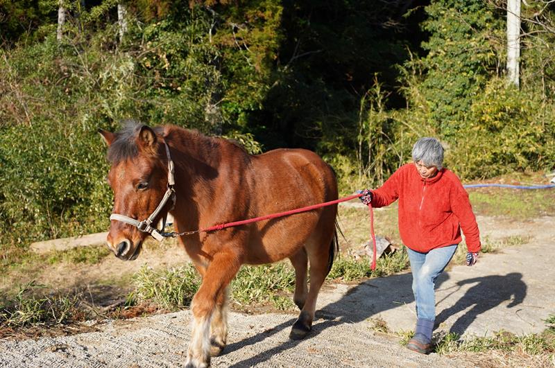木曽馬の愛馬カイと歩く粧子さん。犬に比べ、馬は感情が表に出にくいと感じており「だからこそ人間の方でくみ取ってあげないと。馬になるべく気分良く動いてほしい」と接する