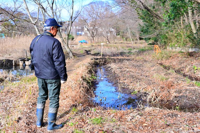 ビオトープ周辺を案内する勝又さん。夏にはホタルが舞う