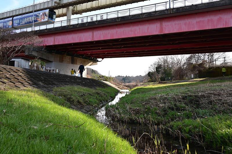 昔ながらの川の姿をとどめる坂月川=7日、千葉市若葉区