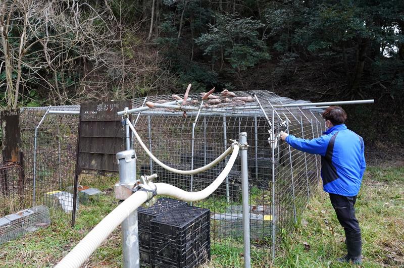 町で設置したサル捕獲用の大型おり。個体に取り付けたＧＰＳで群れの動きを追い、効果的な捕獲の見込める設置場所を検討した＝大多喜町
