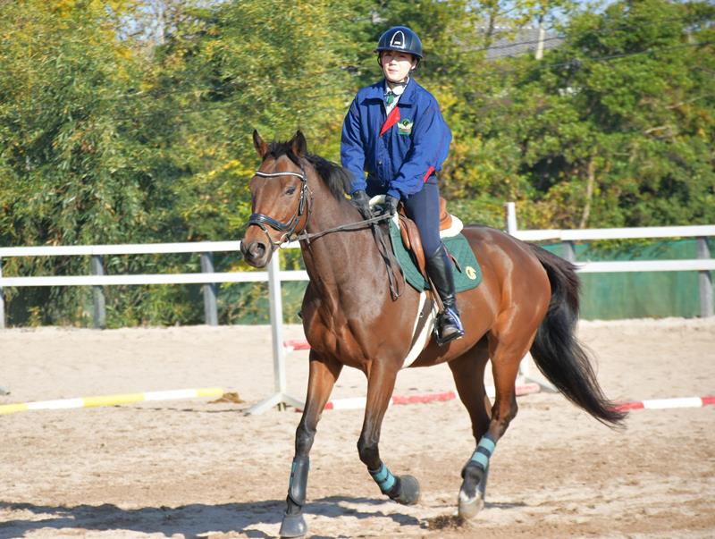 馬場でさっそうと走るカタールパールと息を合わせる篠崎さん