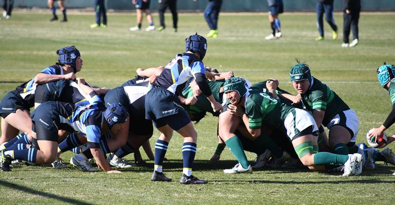 東海大浦安―専大松戸　前半、スクラムを組む両チームの選手ら＝県総合ＳＣ