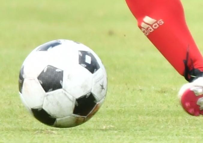 写真はイメージ