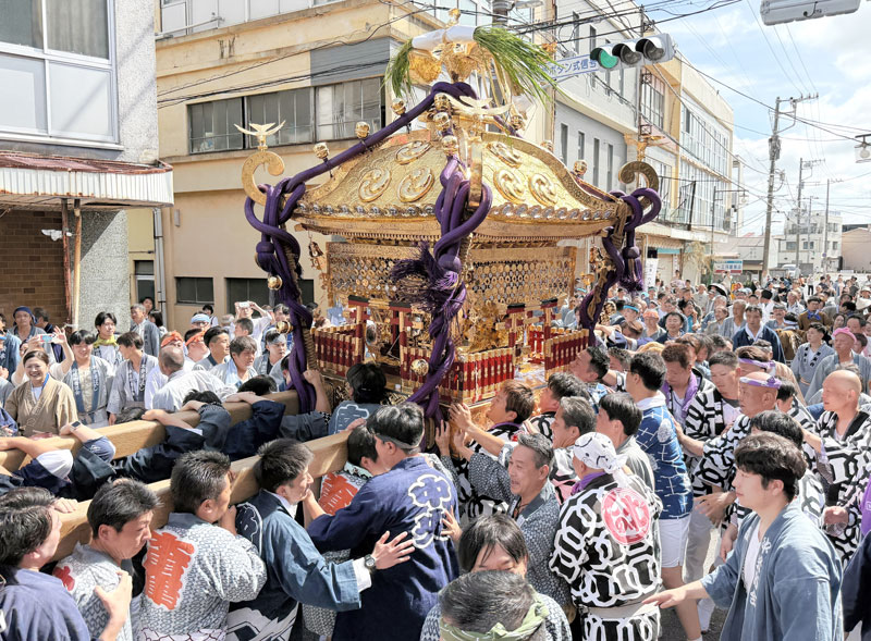 1・5トン大神輿、街に熱気 木更津・八剱八幡神社例祭 | 千葉日報