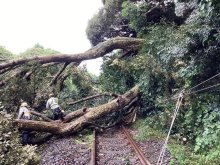 【速報】ＪＲ総武本線が運転見合わせ　倒木で運転再開見込み立たず　旭－松岸間で