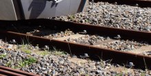 北総鉄道　東松戸駅で人身事故、男性死亡