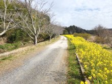 万葉歌碑巡る散策路　季節の花に湧水、古刹も　馬来田駅（ＪＲ久留里線）　【駅から２Ｋｍのおもしろ散歩　千葉地理学会】