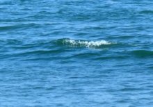 守谷海水浴場で行方不明　勝浦、水難事故か