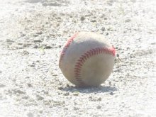 第４日の試合結果　第１０８回全国高校野球　千葉大会　#熱球千葉