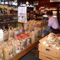 道の駅「みのりの郷東金」の店頭に並ぶ地元産の新米＝２１日、東金市